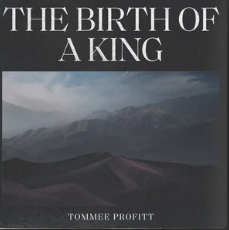 We Three Kings by Tommee Profitt